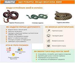 З початку року в Україні від укусів змій постраждало 45 людей. Чернігівщина – у списку таких регіонів.